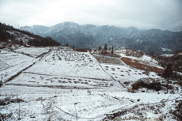 tuyết rơi ở sapa